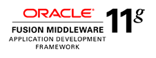 Oracle Fusion Middleware 11g