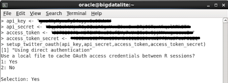 Oracle R APIs screenshot