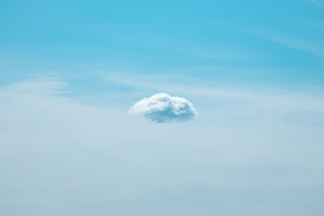 Yay! We have Salesforce. Now We Have to Implement It.
